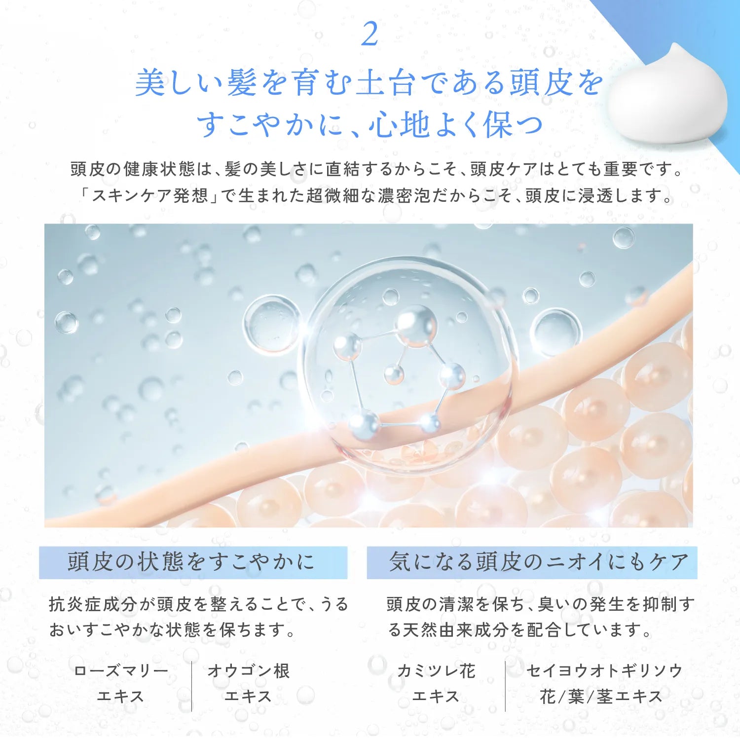 【KYOGOKU ★豪華特典付き】バイオシステムフォーム(炭酸シャンプー) ※11/12〜18より順次配送