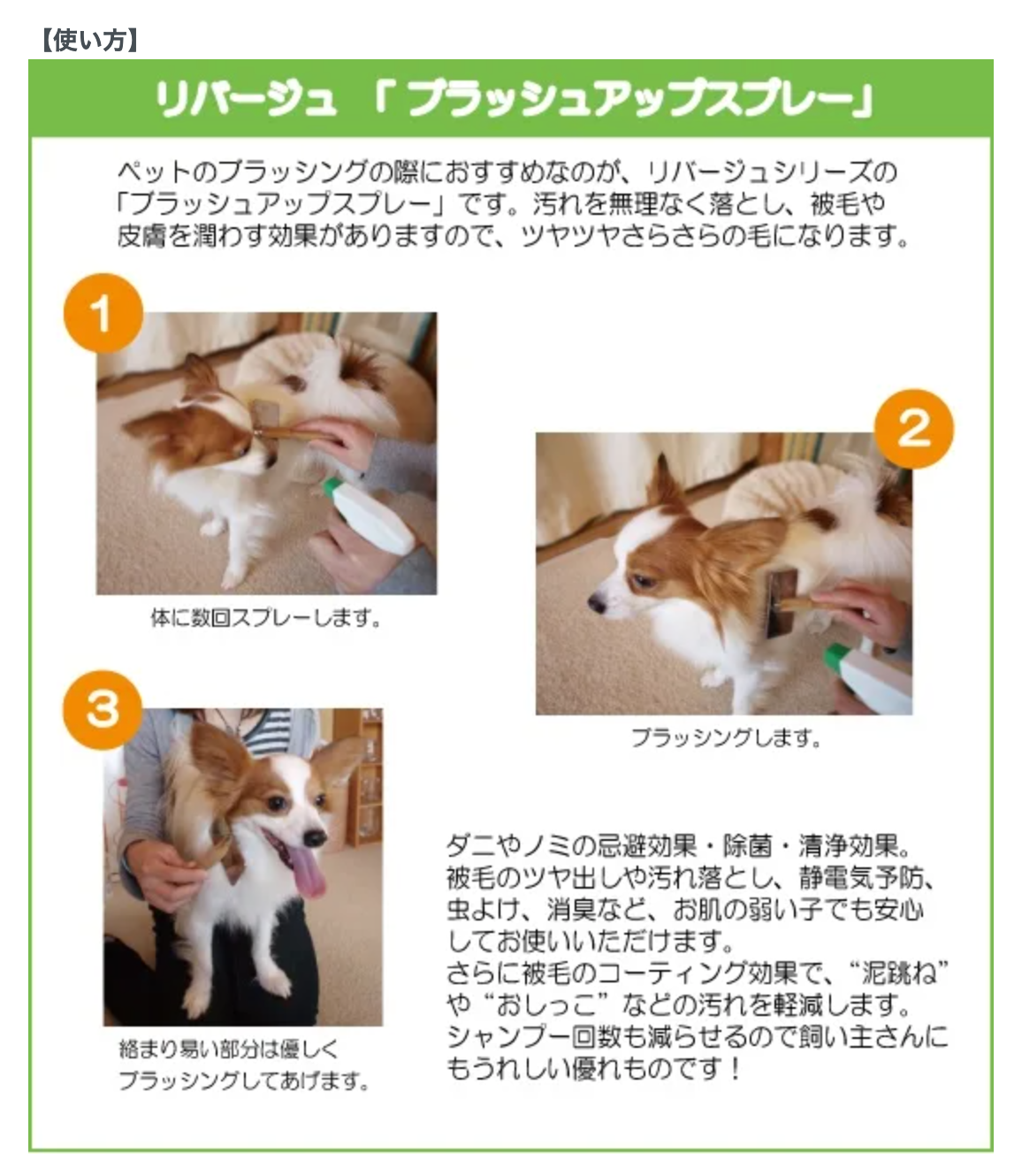 【OrBS】ナチュラル・ユーカリ NEW ブラッシュアップスプレー 480ml (ペット用) ※10/8~14頃より配送予定