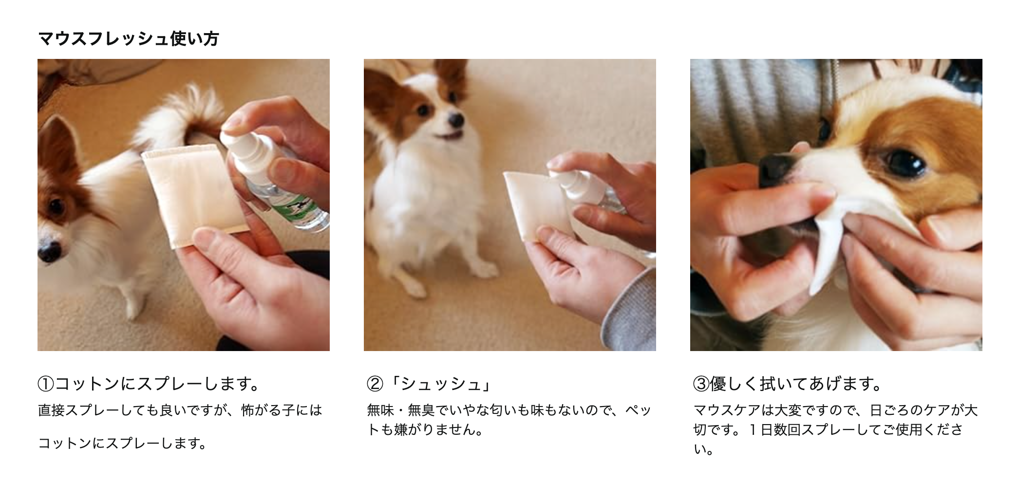 【OrBS】マウスフレッシュ 100ml (ペット用) ※2/12〜2/17頃より順次配送予定