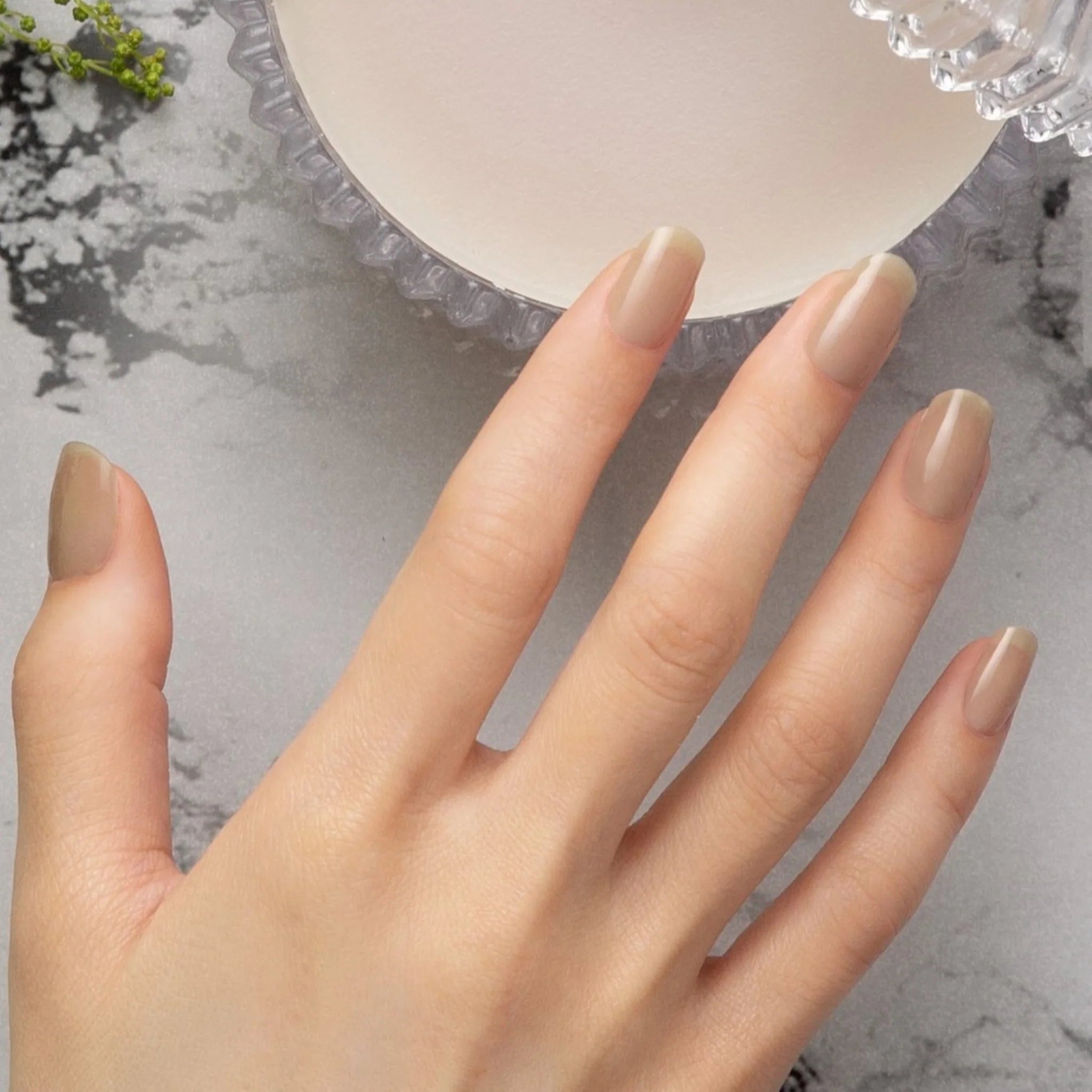 【esshimo】EN008 Nudie Greige(ヌーディーグレージュ) ※11/12〜18より順次配送