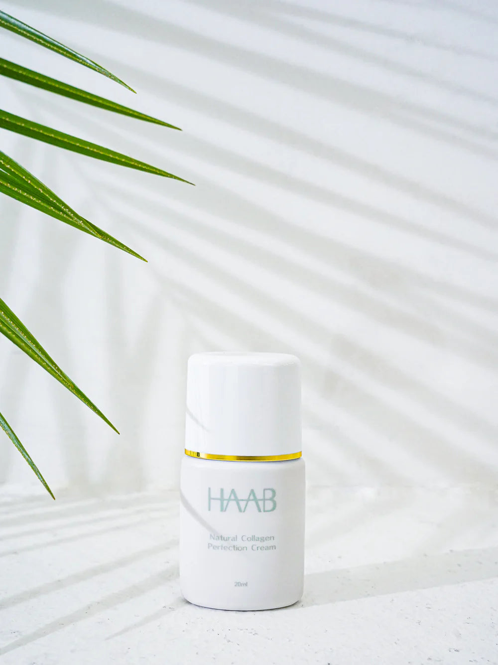【HAAB REPRO】生コラパーフェクションクリーム 20ml ※7/30〜8/5迄に順次発送予定