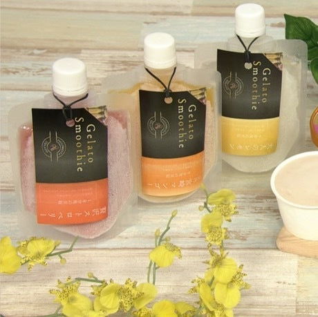 ジェラート クーリッシュ型×12個入り ※8/26〜8/30よりメーカーから順次直送