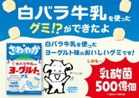 【KANADY】白バラ牛乳使用　ヨーグルト味グミ  　※6/18~24迄に順次発送予定