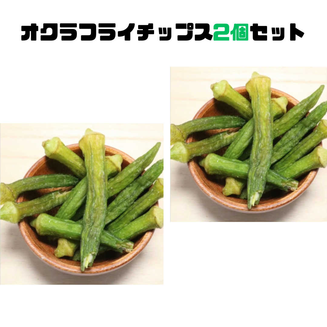 【げんき本舗】オクラフライチップ 2個セット  ※2/4〜2/10頃より順次配送予定