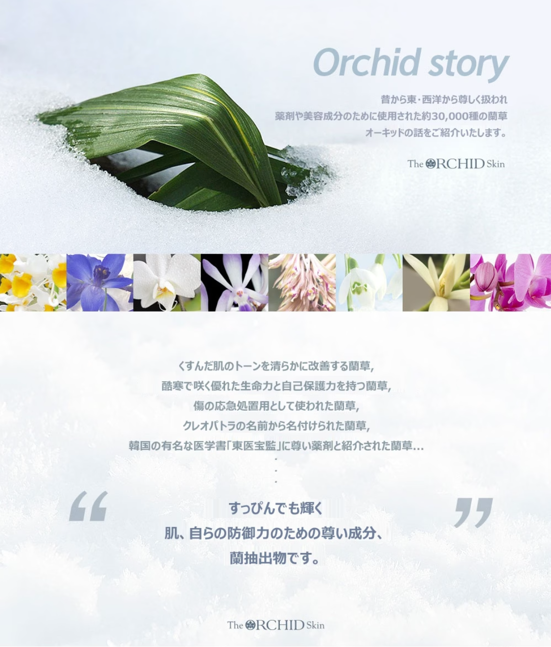 【アイパッチ2種類をご購入いただいた方限定ノベルティ付き✨】【The Orchid  Flower】オーキッド スモキー アンダー クリア アイ パッチ＋エラスティック アンダー ユース アイパッチ＋Retinyl Active シナジーアイクリームプレゼント付き　※10/21-28より順次発送予定