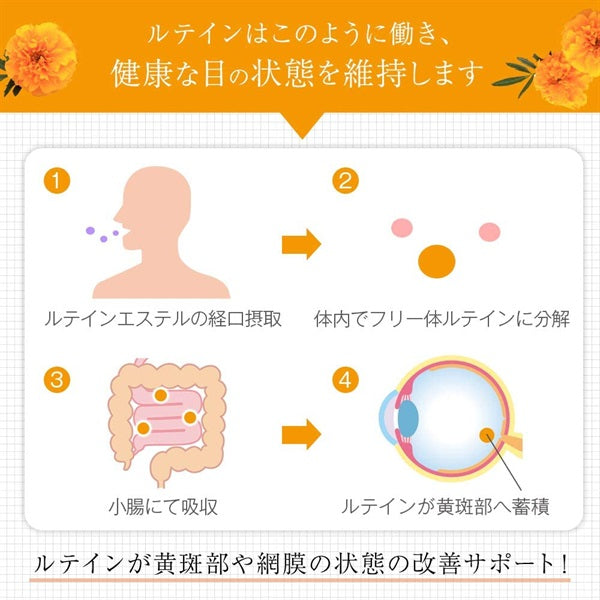 【機能性表示食品】日常生活で受ける光の刺激から保護します　ひとみの恵み　ルテイン４０　60粒　※8/6〜12迄に順次発送予定