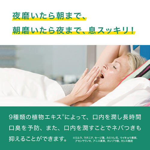 ﾃﾞﾝﾃｨｽﾁｭｰﾌﾞ ﾎﾜｲﾄﾆﾝｸ　100g　※4/30〜5/6迄に順次発送予定