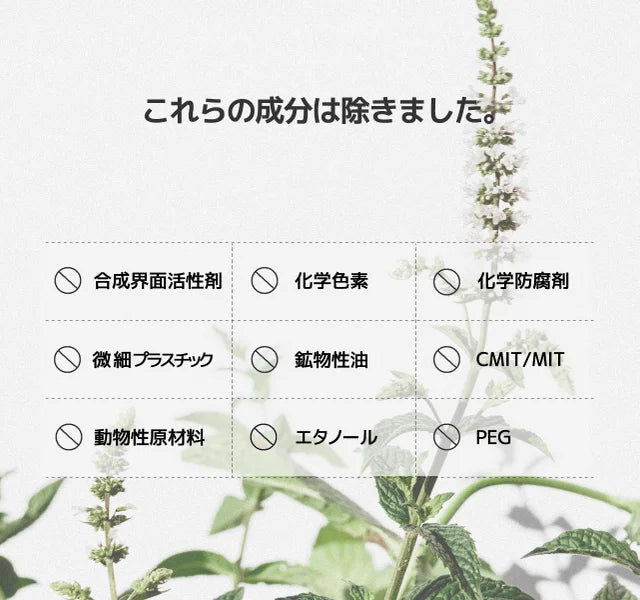 【Vontee】ボンティー固体歯磨き粉 スペアミント 100粒(70g)　※10/21-28より順次発送予定