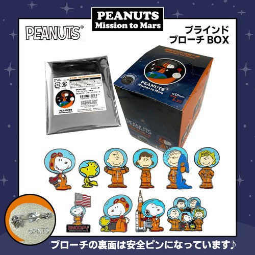 【Z1945】PEANUTS／ブラインドブローチ　※ランダム　※6/18~24迄に順次発送予定