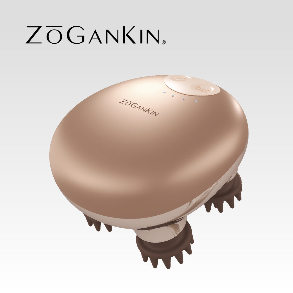 【BWJ特別プレゼント付き🎁】ZOGANKIN ｿﾞｰｶﾞﾝｷﾝｽｶﾙﾌﾟ本体　※11/11〜18より順次発送予定